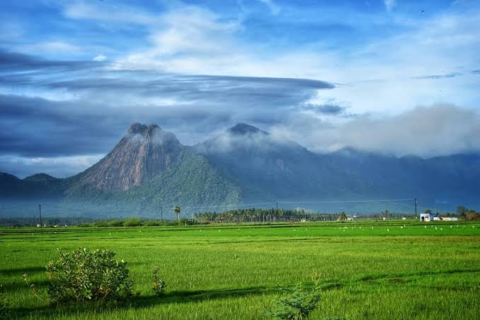 KOOMAPATTY ISLAND Photo